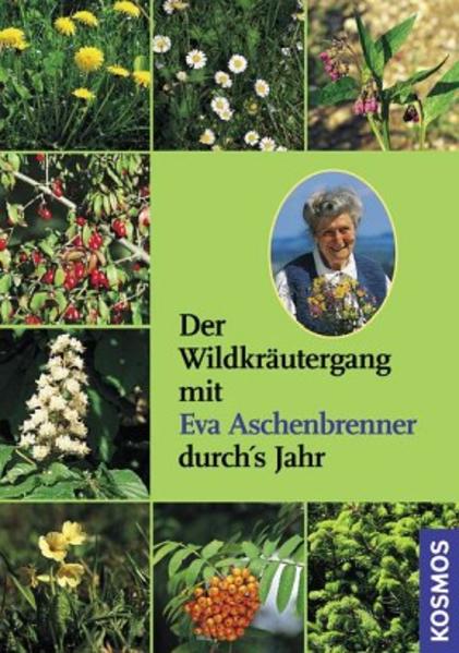 Der Wildkräutergang mit Eva Aschenbrenner durchs Jahr