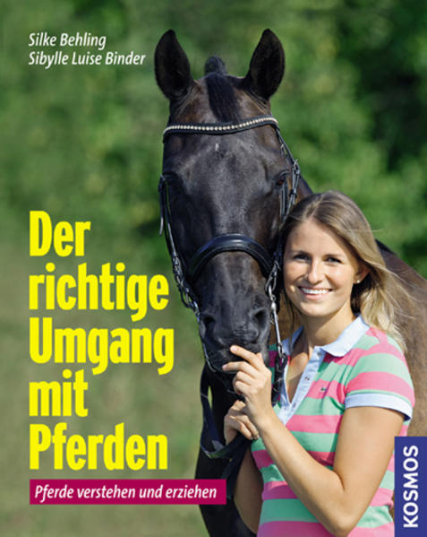 Der richtige Umgang mit Pferden