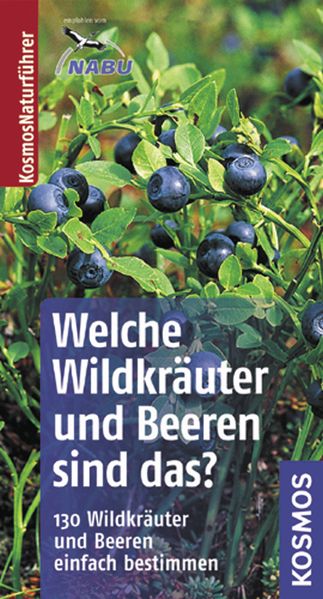 Welche Wildkräuter und Beeren sind das?