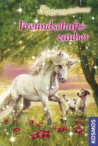 Sternenschweif, 25, Freundschaftszauber