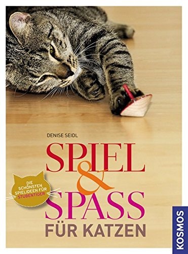 Spiel & Spaß für Katzen