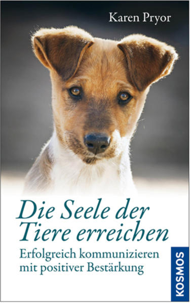 Die Seele der Tiere erreichen