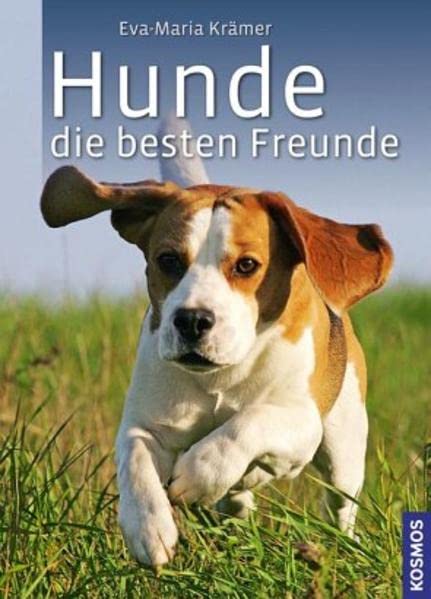 Hunde, die besten Freunde
