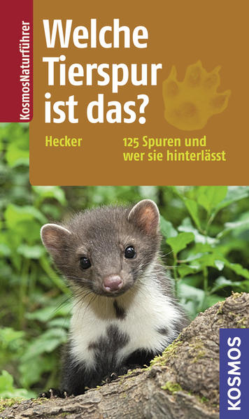 Welche Tierspur ist das?