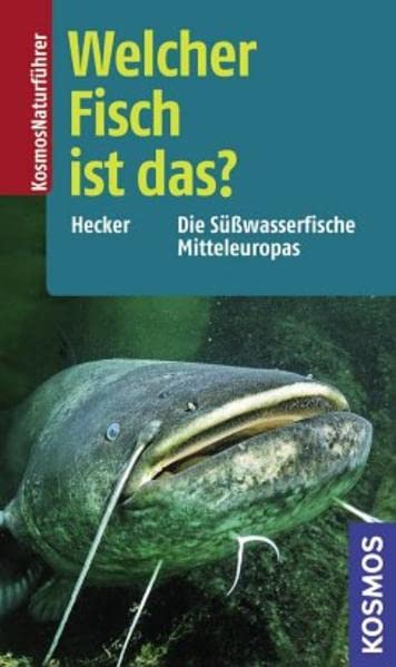 Welcher Fisch ist das?