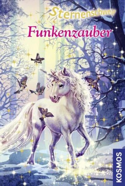 Sternenschweif, 30, Funkenzauber