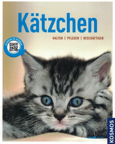 Kätzchen
