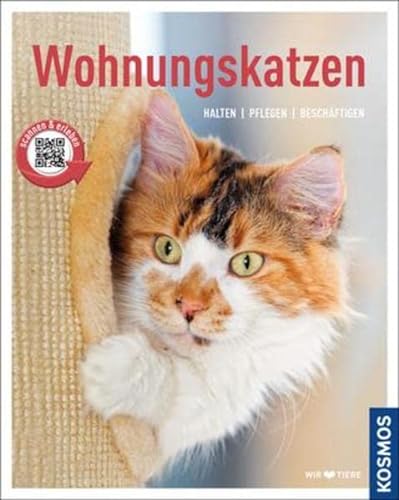 Wohnungskatzen
