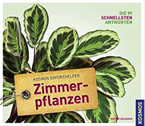 Soforthelfer Zimmerpflanzen