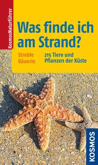 Was finde ich am Strand?