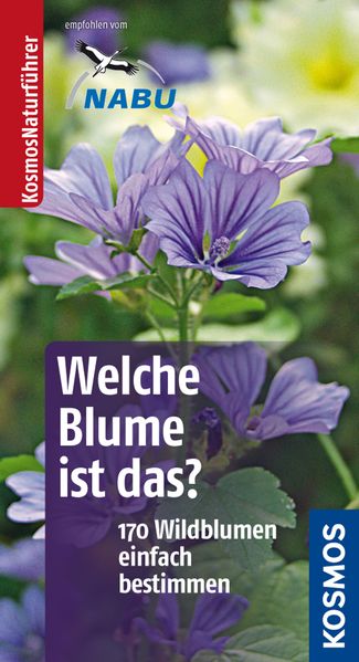 Welche Blume ist das?