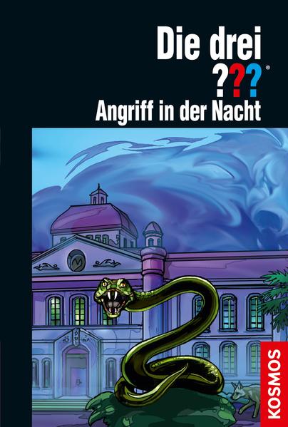 Die drei ??? Schattenwelt 2: Angriff in der Nacht (drei Fragezeichen)