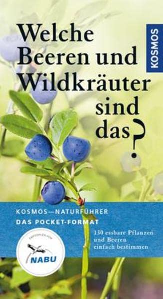 Welche Beeren und Wildkräuter sind das?