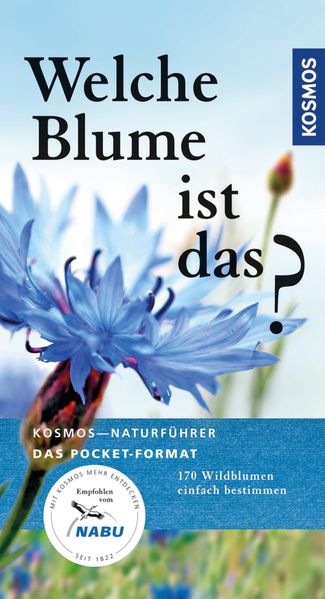 Welche Blume ist das?