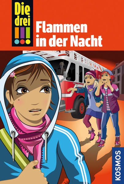 Die drei !!!, 63, Flammen in der Nacht
