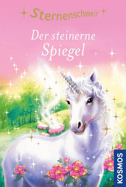 Sternenschweif, 3, Der steinerne Spiegel