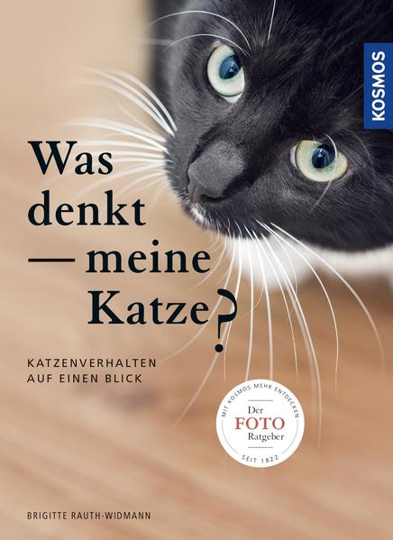 Was denkt meine Katze?