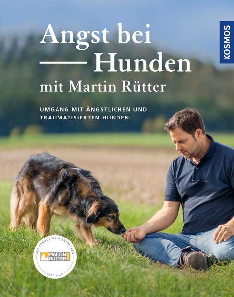 Angst bei Hunden