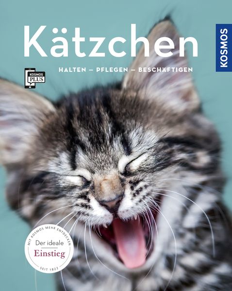Kätzchen
