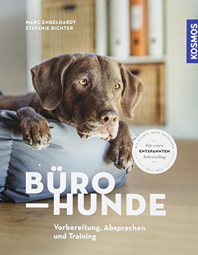 Bürohunde