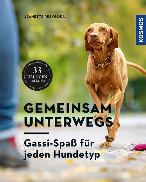 Gemeinsam unterwegs