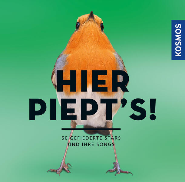 Hier piept´s! - Gefiederte Stars und ihre Songs