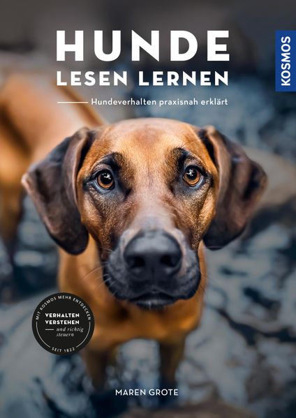Hunde lesen lernen
