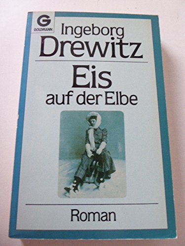 Eis auf der Elbe