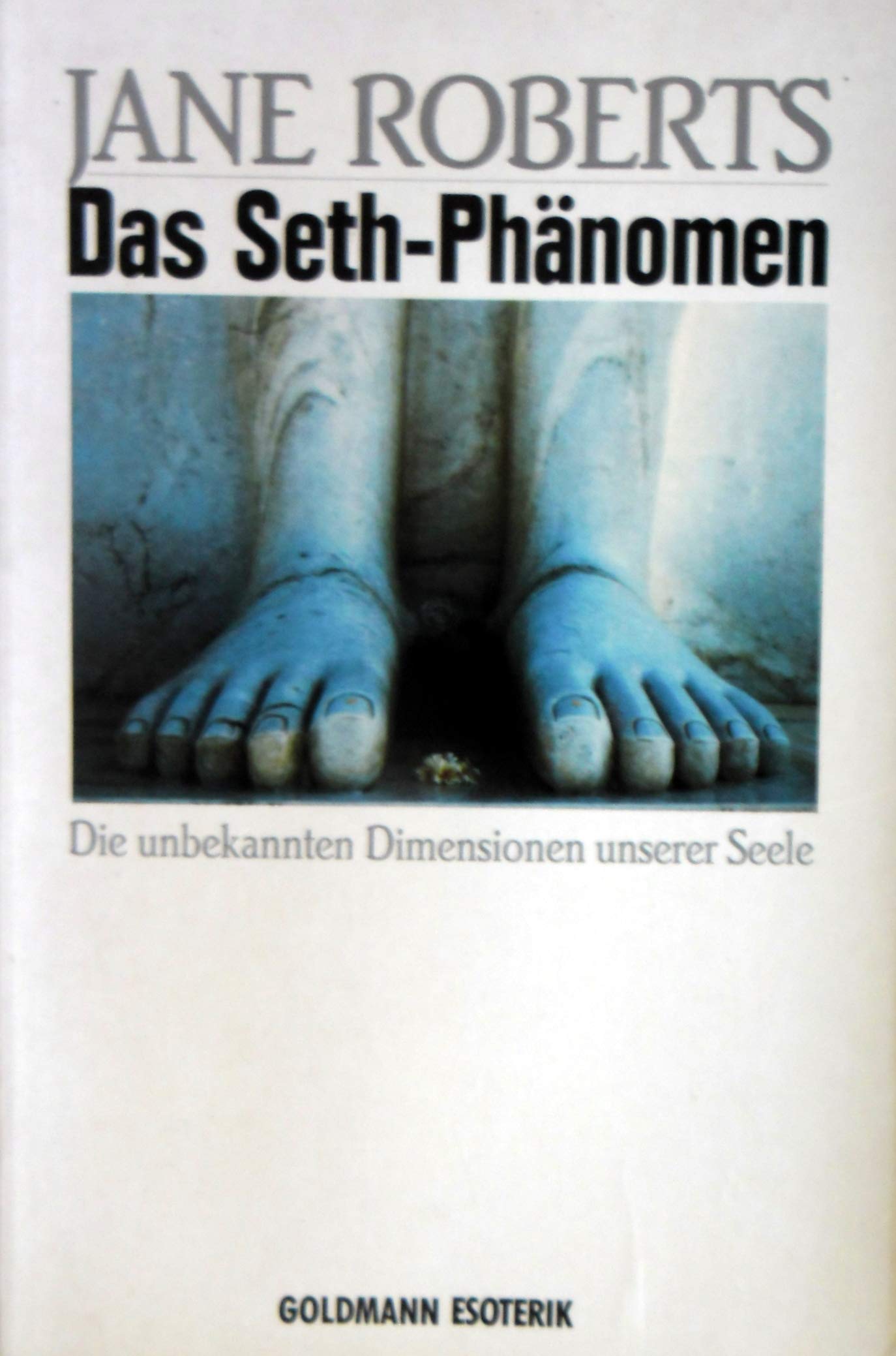 Seth und die unbekannten Dimensionen unserer Seele