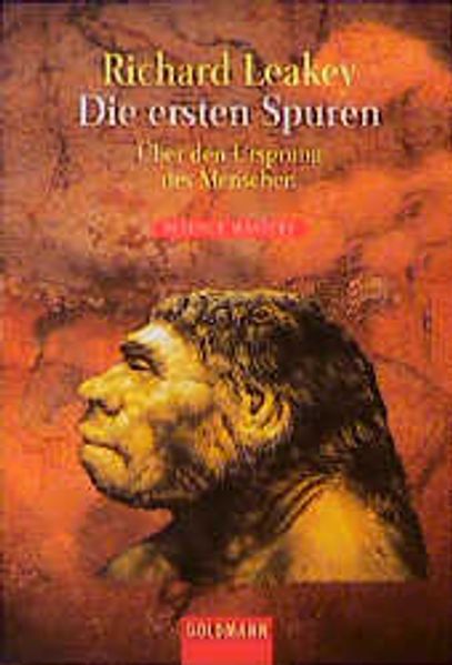 Die ersten Spuren