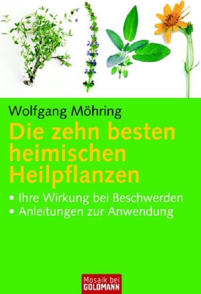 Die zehn besten heimischen Heilpflanzen