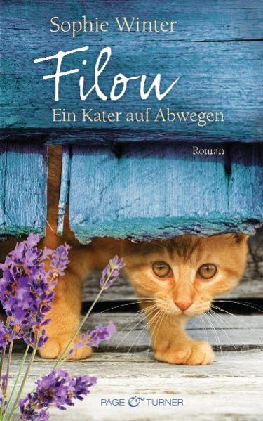 Filou - Ein Kater auf Abwegen