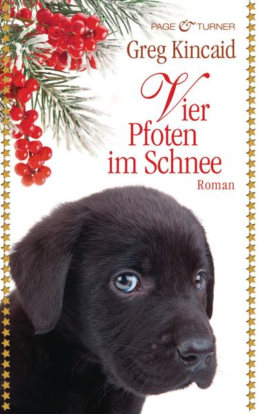 Vier Pfoten im Schnee