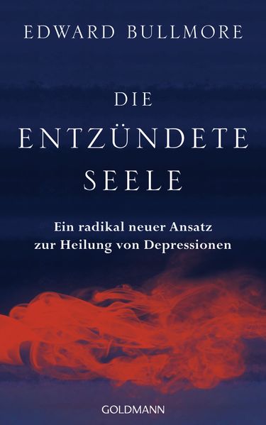 Die entzündete Seele