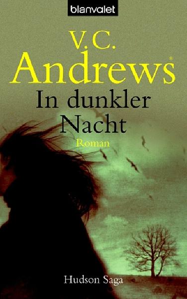 Hudson-Saga / In dunkler Nacht