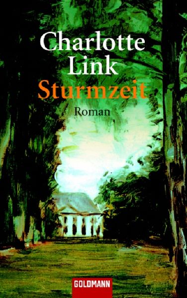 Die Sturmzeit-Trilogie / Sturmzeit
