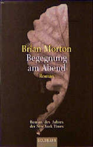 Begegnung am Abend