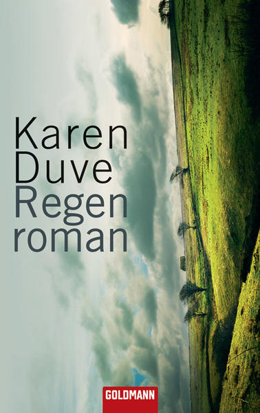 Regenroman