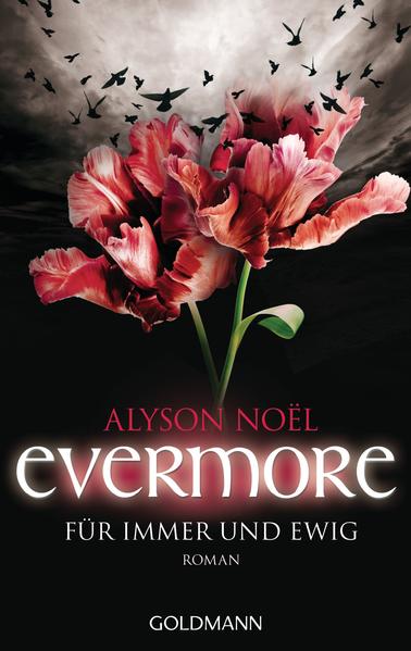 Evermore 6 - Für immer und ewig  - 