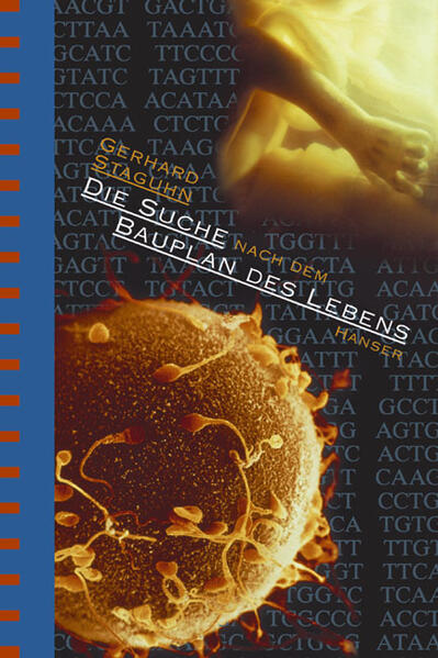 Die Suche nach dem Bauplan des Lebens