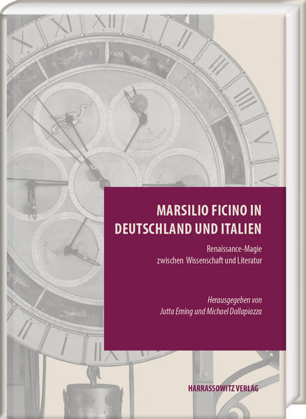 Marsilio Ficino in Deutschland und Italien