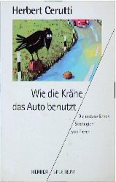 Wie die Krähe das Auto benutzt