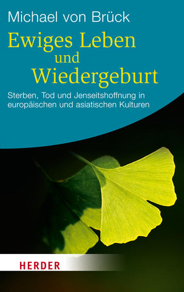 Ewiges Leben und Wiedergeburt