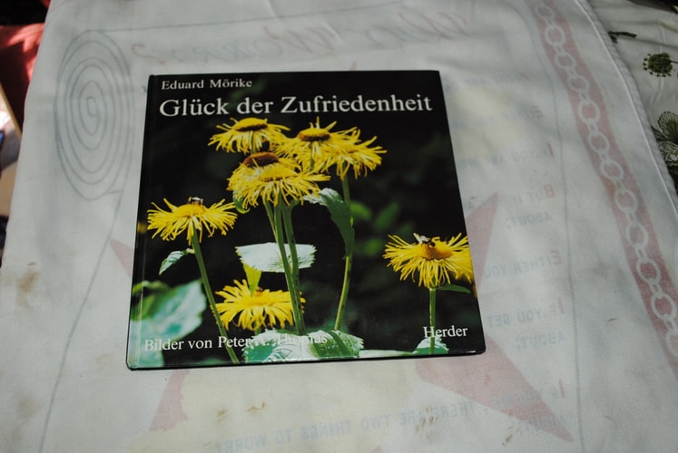Glück der Zufriedenheit