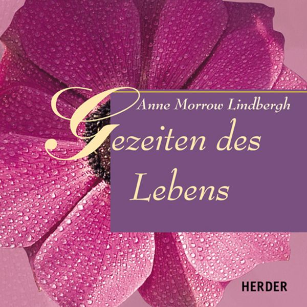 Gezeiten des Lebens