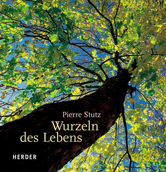Wurzeln des Lebens