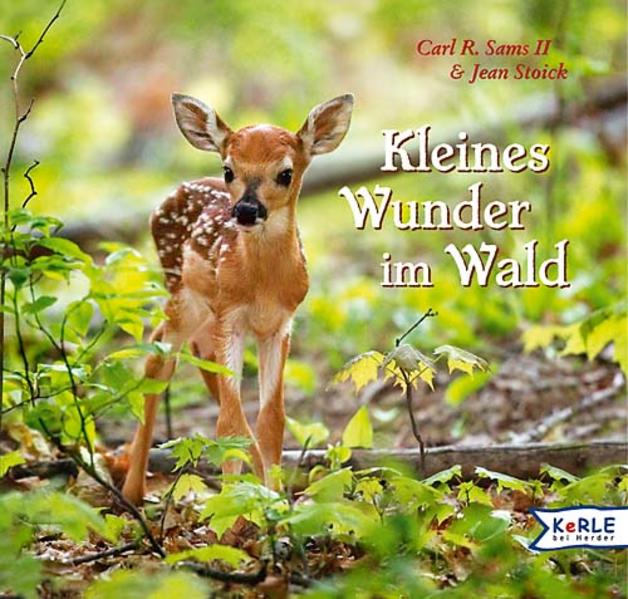Kleines Wunder im Wald