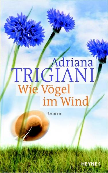 Wie Vögel im Wind