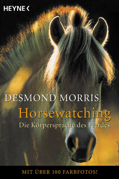 Horsewatching