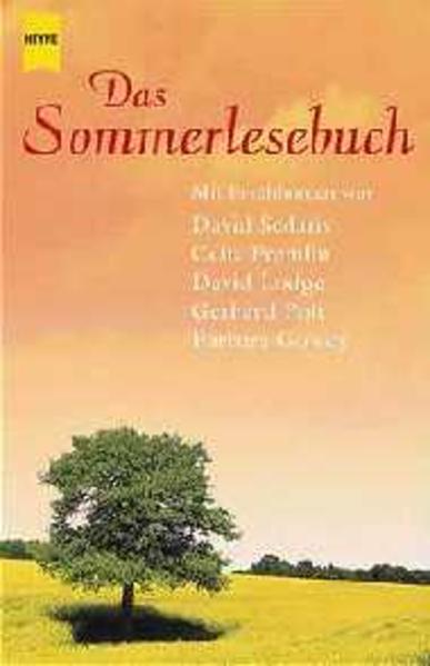 Das Sommerlesebuch